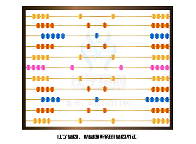 【佳學(xué)基因檢測】什么人要做PII基因解碼、<a href=http://m.lucasfraser.com/tk/jiema/cexujishu/2021/31933.html>基因檢測</a>？