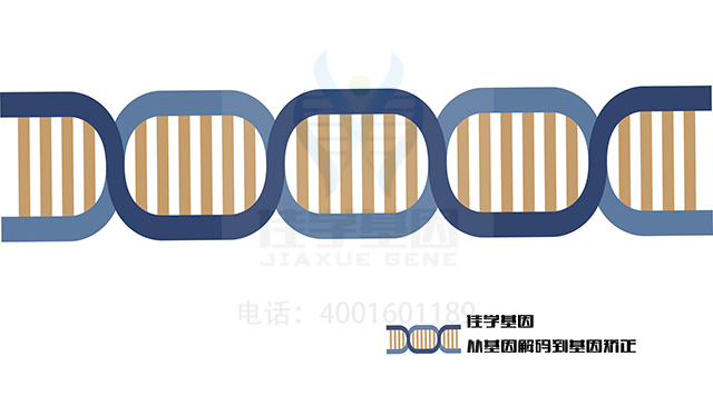 【佳學(xué)基因檢測】做下頜凸頜畸形基因解碼、<a href=http://m.lucasfraser.com/tk/jiema/cexujishu/2021/31933.html>基因檢測</a>需要到總部嗎？