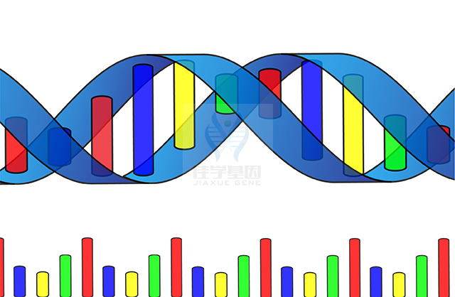 【佳學(xué)基因檢測(cè)】CHILD綜合征基因解碼、<a  data-cke-saved-href=http://m.lucasfraser.com/tk/jiema/cexujishu/2021/31933.html href=http://m.lucasfraser.com/tk/jiema/cexujishu/2021/31933.html>基因檢測(cè)</a>有什么用？