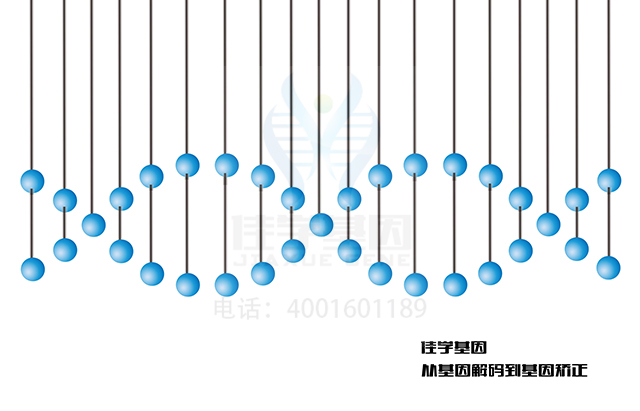 【佳學(xué)基因檢測(cè)】什么人要做心臟傳導(dǎo)障礙基因解碼、<a href=http://m.lucasfraser.com/tk/jiema/cexujishu/2021/31933.html>基因檢測(cè)</a>？