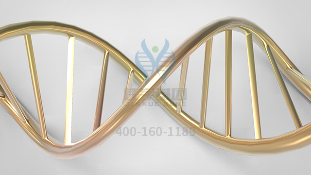 【佳學(xué)基因檢測】視網(wǎng)膜色素變性9型基因解碼、基因檢測的報告看得懂嗎？