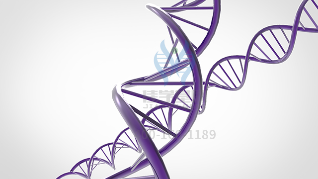 【佳學基因檢測】做胃腺癌基因解碼、<a href=http://m.lucasfraser.com/tk/jiema/cexujishu/2021/31933.html>基因檢測</a>需要多少錢？