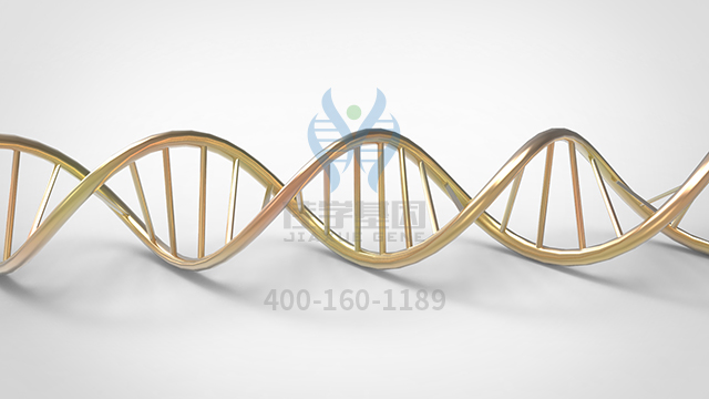 【佳學基因檢測】什么人要做intestinalhypoperistalsissyndrome-MMIHS綜合征基因解碼、<a href=http://m.lucasfraser.com/tk/jiema/cexujishu/2021/31933.html>基因檢測</a>？