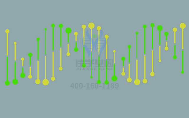 【佳學(xué)基因檢測】如何區(qū)分腎上腺功能不全先天性46XY（部分或有效）性逆轉(zhuǎn)基因解碼、<a href=http://m.lucasfraser.com/tk/jiema/cexujishu/2021/31933.html>基因檢測</a>？