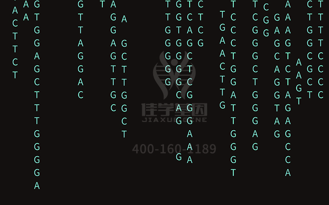 【佳學(xué)基因檢測(cè)】自閉癥10型基因解碼、<a href=http://m.lucasfraser.com/tk/jiema/cexujishu/2021/31933.html>基因檢測(cè)</a>怎么預(yù)約解讀？