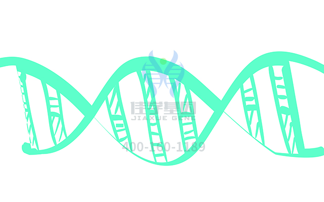 <b>【佳學基因檢測</b>