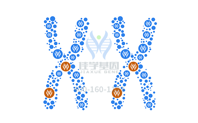 【佳學(xué)基因檢測(cè)】如何做<font color='red'><font color='red'>乳糖</font><font color='red'>不耐</font>癥</font>基因解碼、基因檢測(cè)？