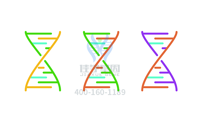 【佳學基因檢測】May-Hegglin異?；蚪獯a、<a href=http://m.lucasfraser.com/tk/jiema/cexujishu/2021/31933.html>基因檢測</a>的報告看得懂嗎？