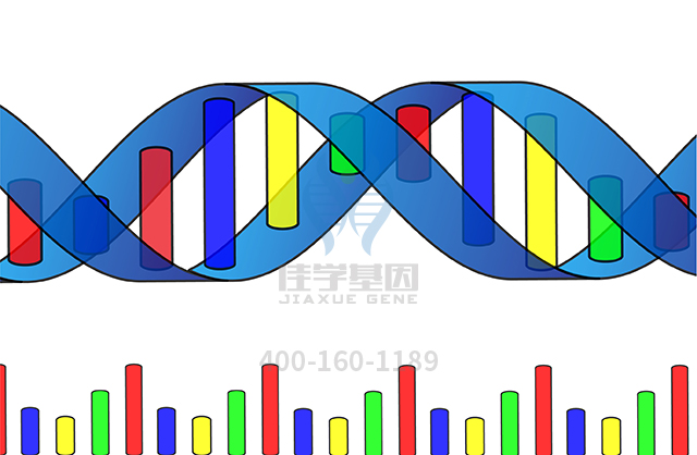 【佳學(xué)基因檢測(cè)】什么人要做梅克爾綜合征2型基因解碼、<a href=http://m.lucasfraser.com/tk/jiema/cexujishu/2021/31933.html>基因檢測(cè)</a>？