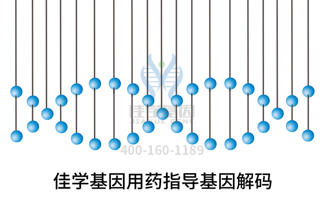 【基因解碼基因