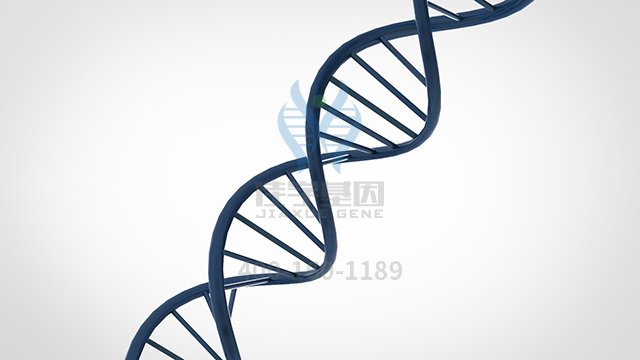 【佳學基因檢測】需要多長時間可以拿指過短a1型d基因解碼、<a href=http://m.lucasfraser.com/tk/jiema/cexujishu/2021/31933.html>基因檢測</a>報告？