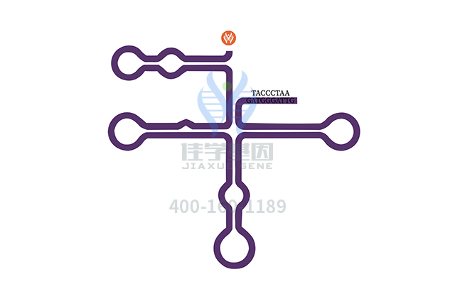 【佳學基因檢測】做阿拉吉綜合征2型基因解碼、<a href=http://m.lucasfraser.com/tk/jiema/cexujishu/2021/31933.html>基因檢測</a>需要到總部嗎？