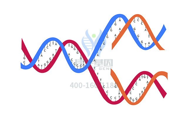 【佳學(xué)基因檢測】Odontotrichomelic綜合征基因解碼、<a href=http://m.lucasfraser.com/tk/jiema/cexujishu/2021/31933.html>基因檢測</a>有什么用？