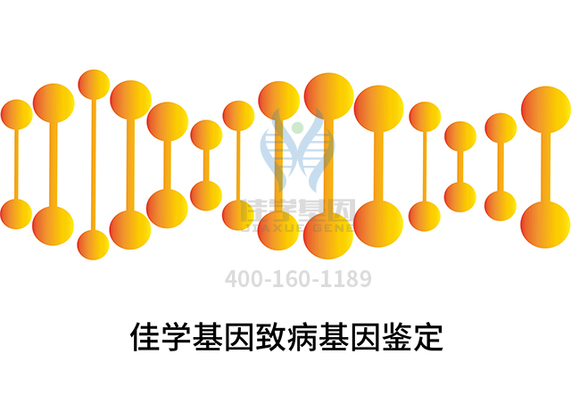 【佳學(xué)基因檢測】做Pelizaeus-Merzbacher病輕微基因解碼、<a href=http://m.lucasfraser.com/tk/jiema/cexujishu/2021/31933.html>基因檢測</a>需要多少錢？