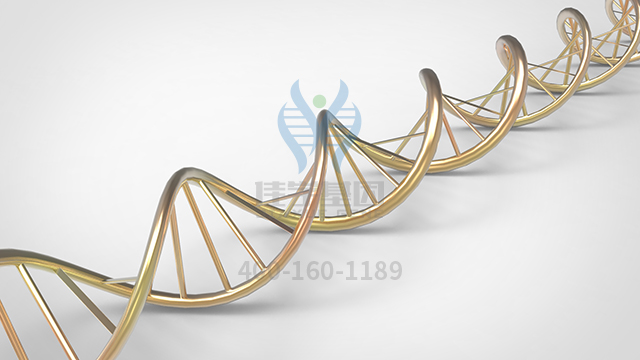 【佳學基因檢測】做先天性短腸綜合征X連鎖基因解碼、<a href=http://m.lucasfraser.com/tk/jiema/cexujishu/2021/31933.html>基因檢測</a>的費用是多少？