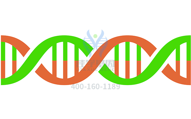 【佳學基因檢測】做肺表面活性物質(zhì)代謝功能障礙顯性基因解碼、<a href=http://m.lucasfraser.com/tk/jiema/cexujishu/2021/31933.html>基因檢測</a>需要到總部嗎？