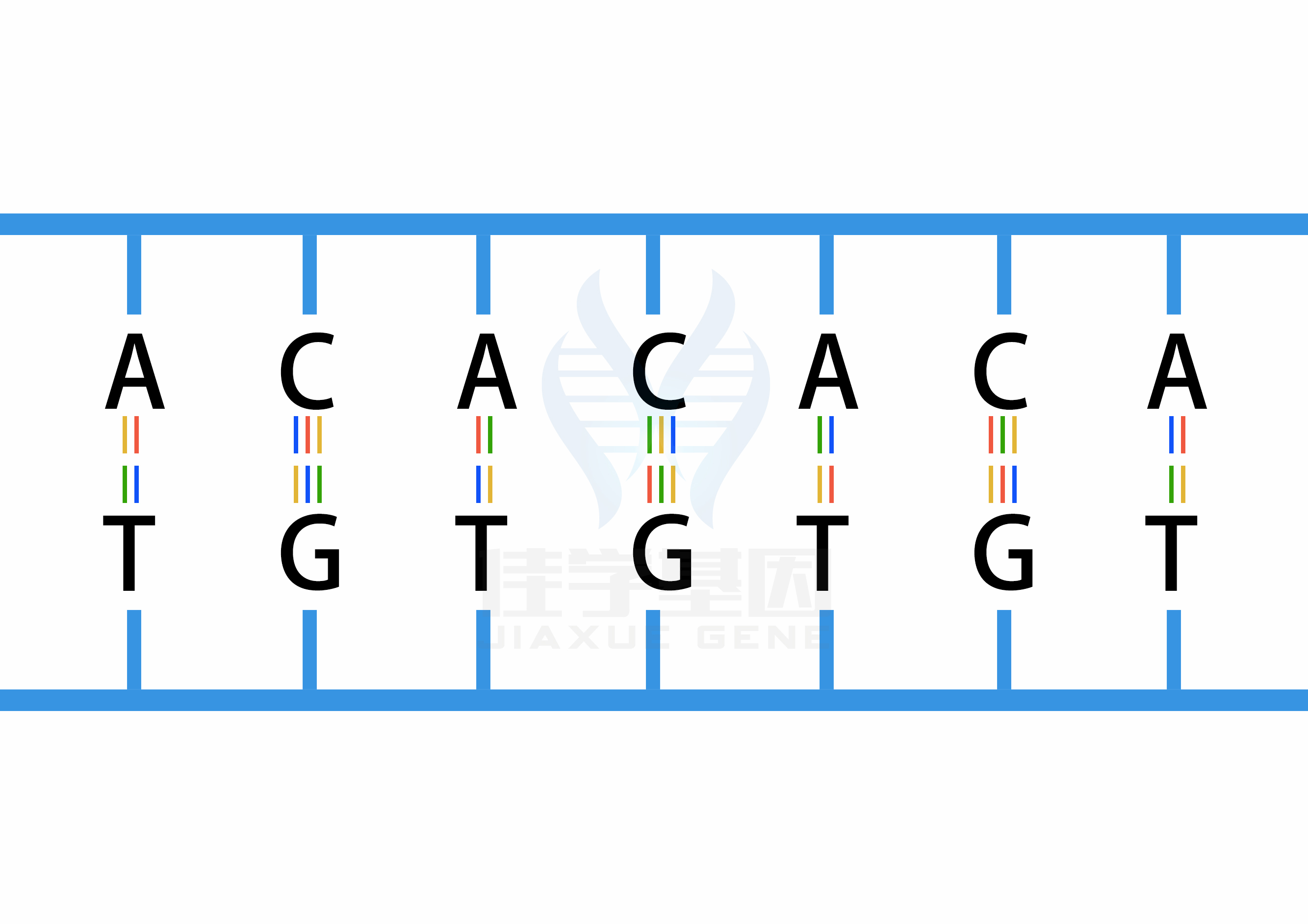 【佳學(xué)基因檢測(cè)】什么人要做性腺機(jī)能減退糖尿病<font color='red'>脫發(fā)</font>智力低下和心電圖異?；蚪獯a、<a href=http://m.lucasfraser.com/tk/jiema/cexujishu/2021/31933.html>基因檢測(cè)</a>？