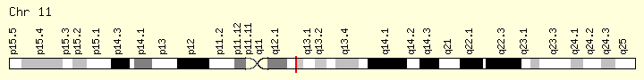 Genomic Location for BEST1 Gene